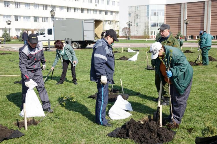 События НИУ «БелГУ» субботник в университете